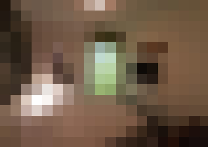  / #10
