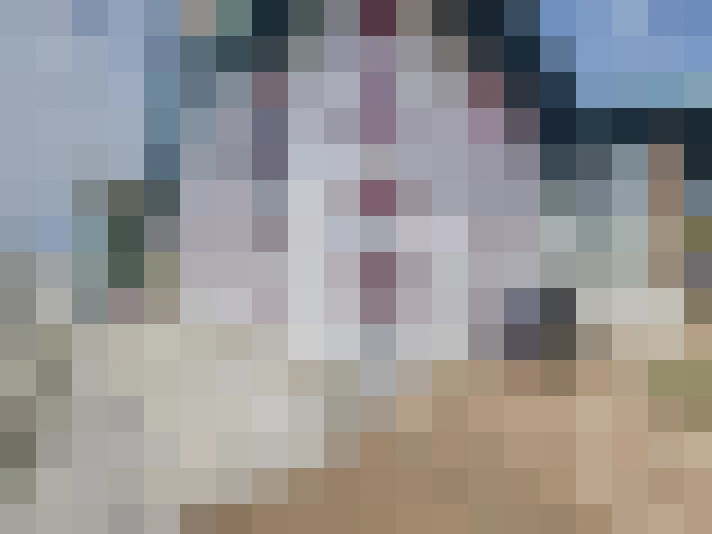  / #7