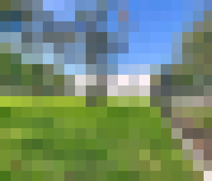  / #16
