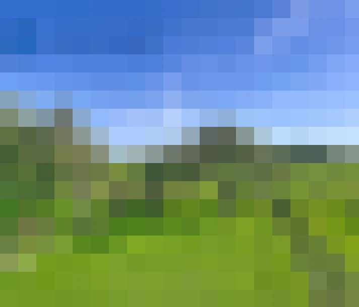  / #9