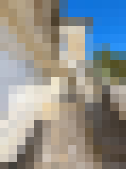  / #15