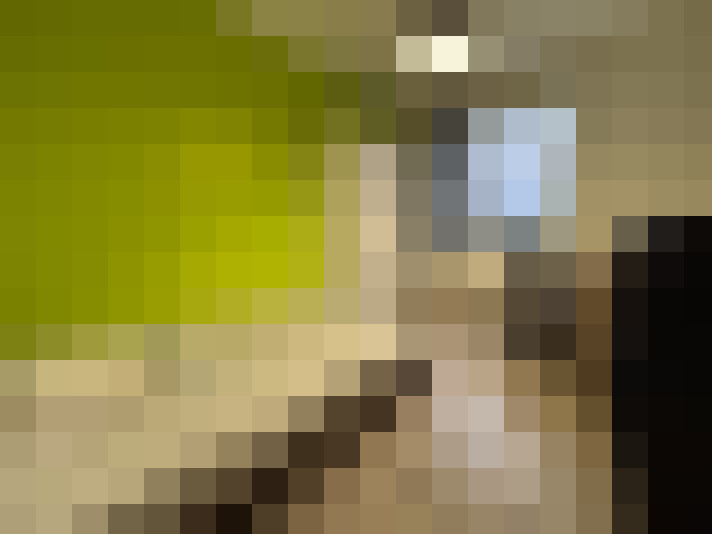  / #7