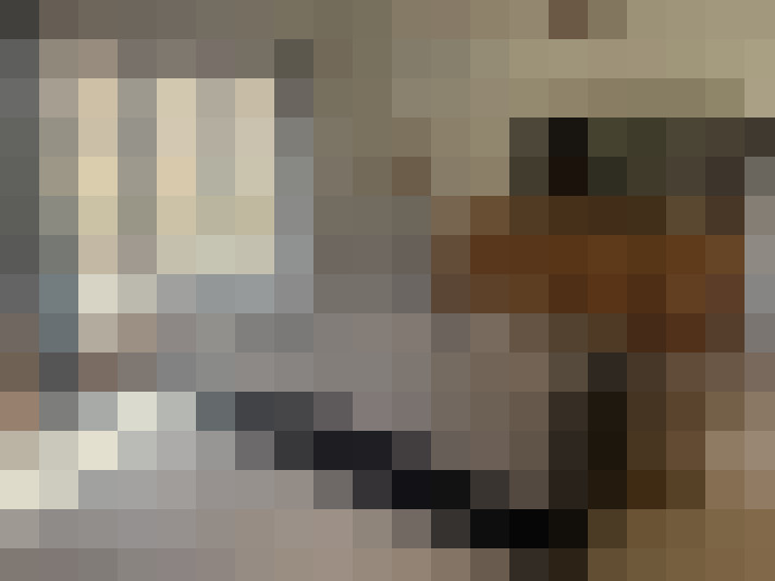  / #21