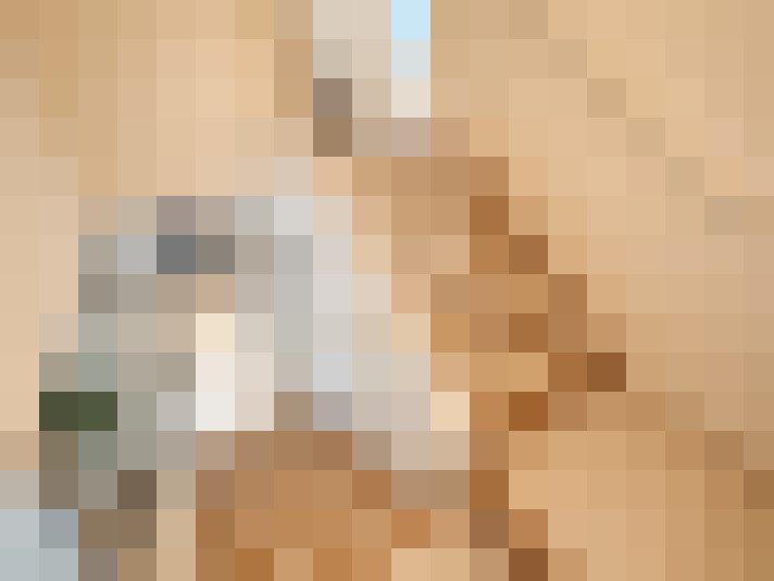  / #13