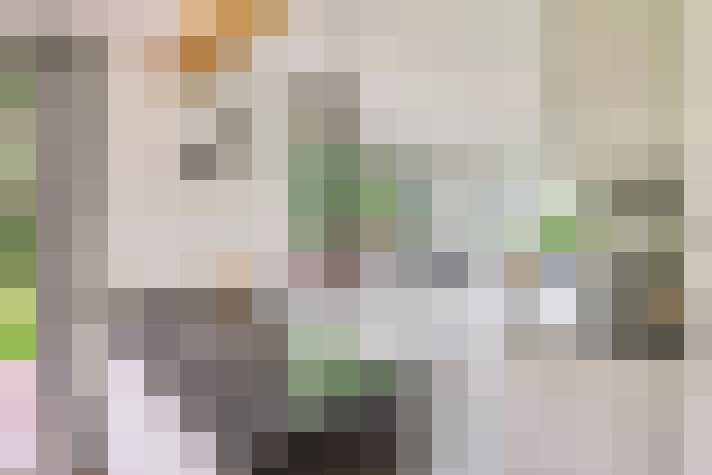  / #11