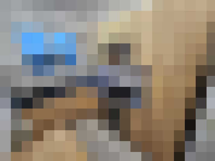  / #8