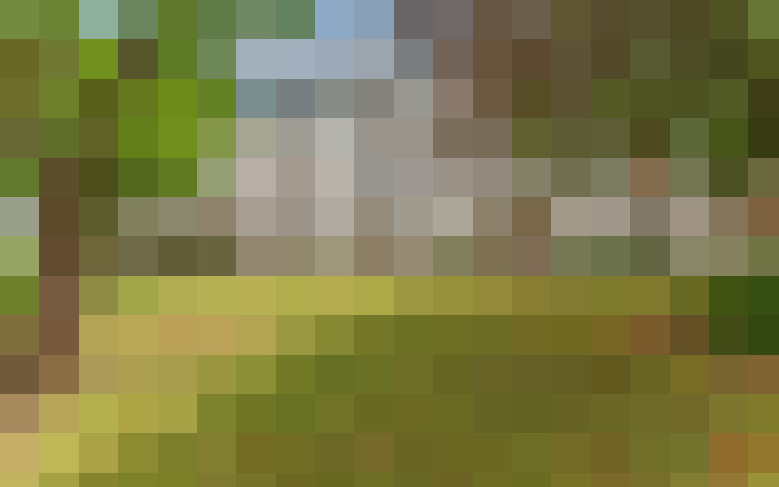  / #7