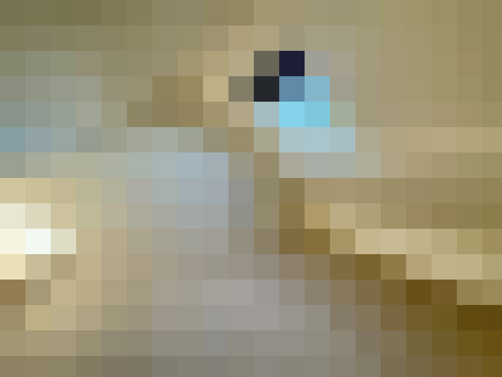  / #15