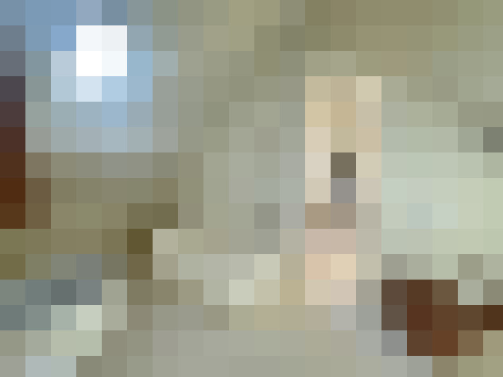  / #13