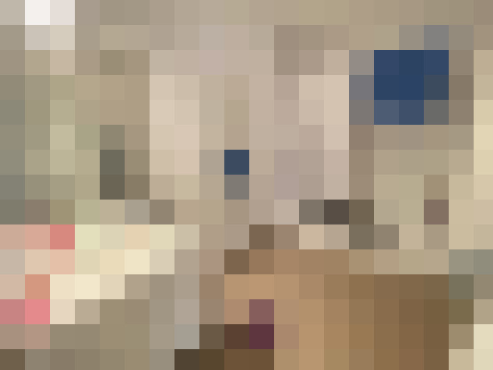  / #8