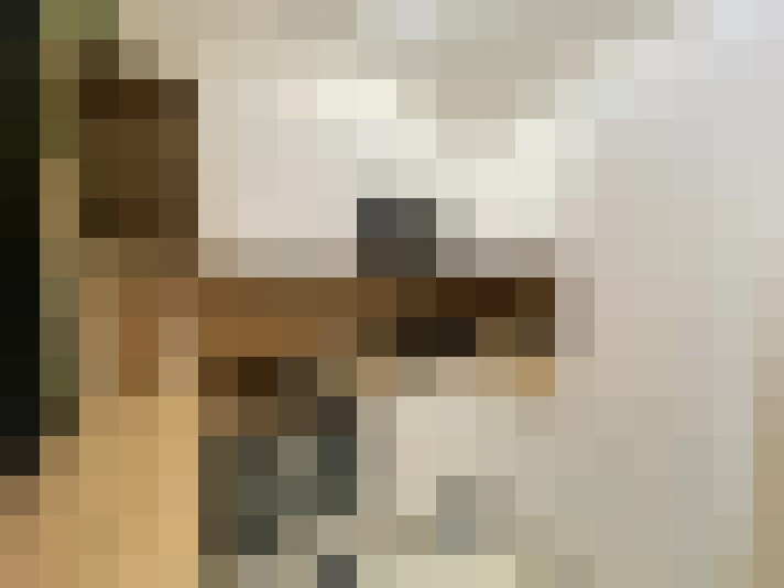  / #7