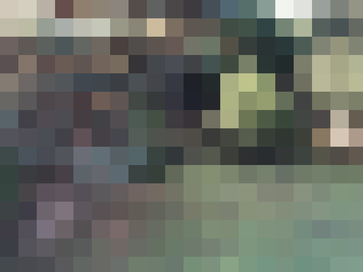  / #14