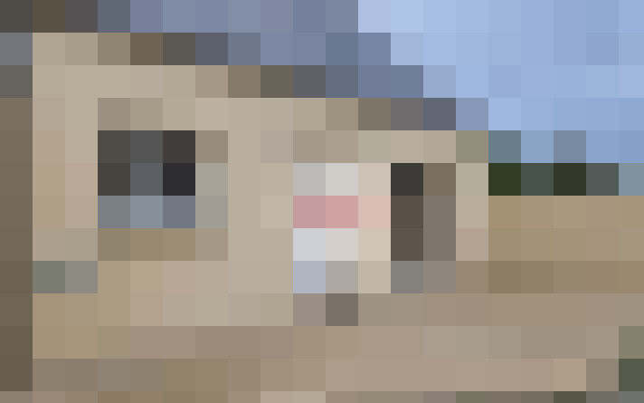  / #9