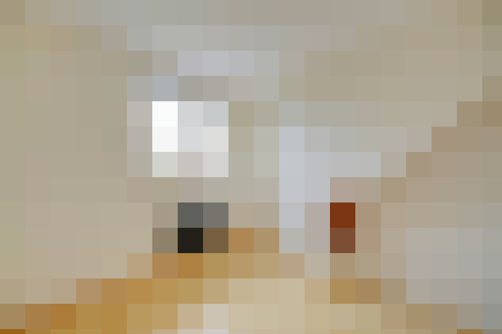  / #12