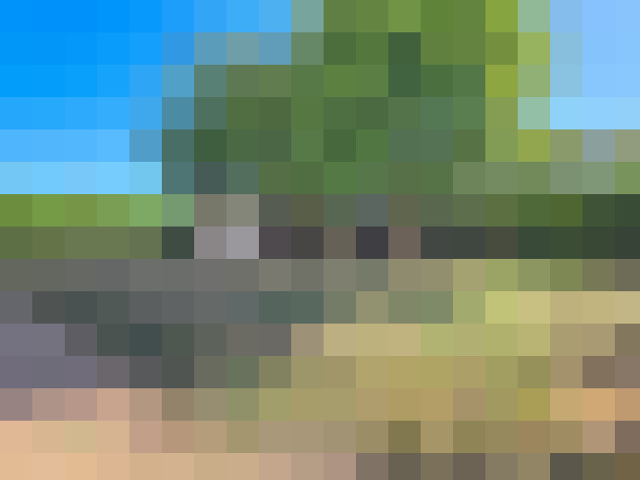  / #19