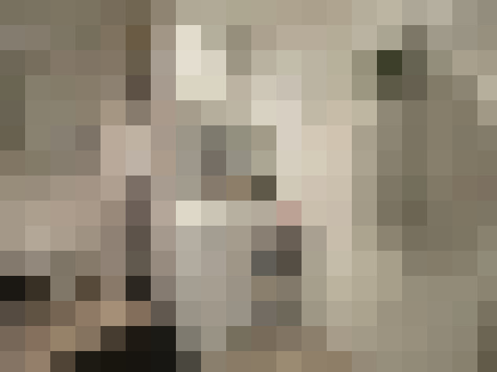  / #9