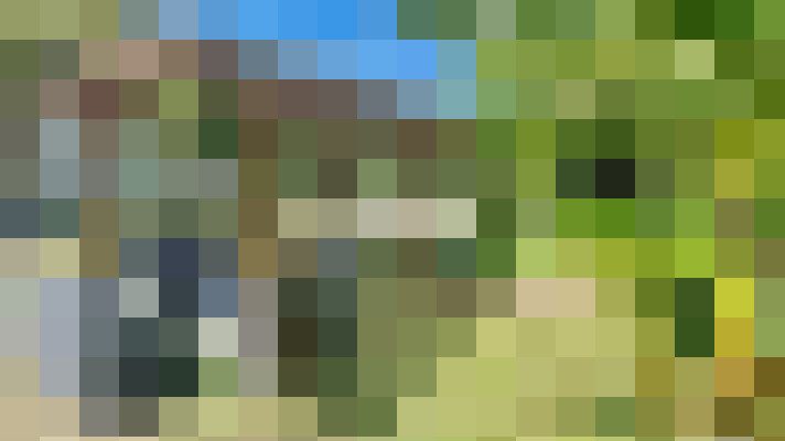  / #17