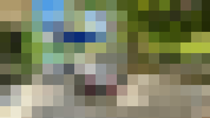  / #16