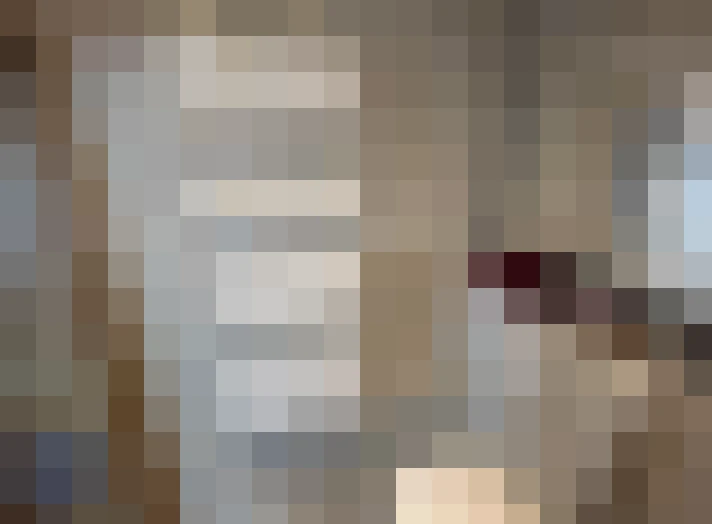  / #14