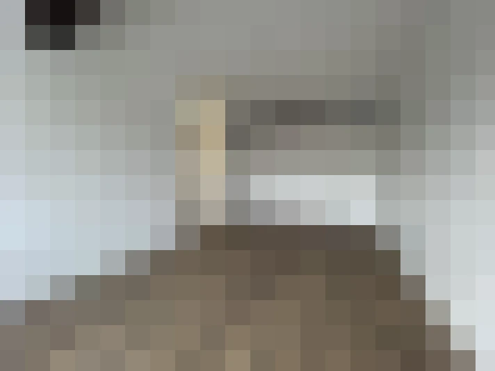  / #11