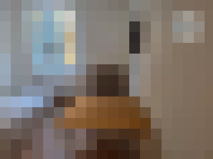  / #8