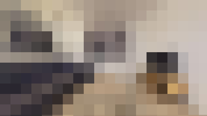  / #16