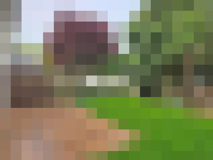  / #7