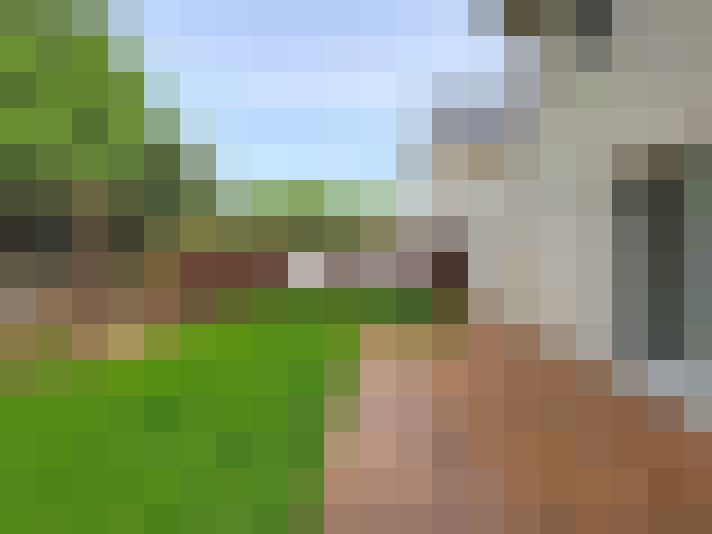  / #6