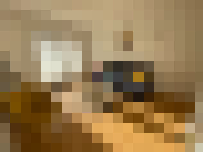  / #8