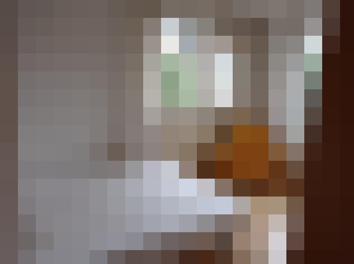  / #13