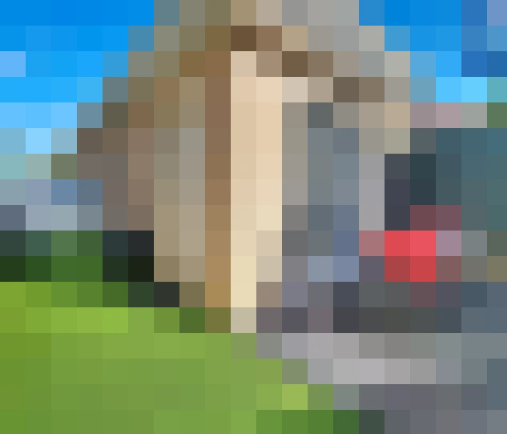  / #8