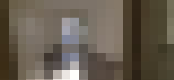  / #6