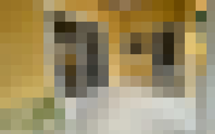  / #7