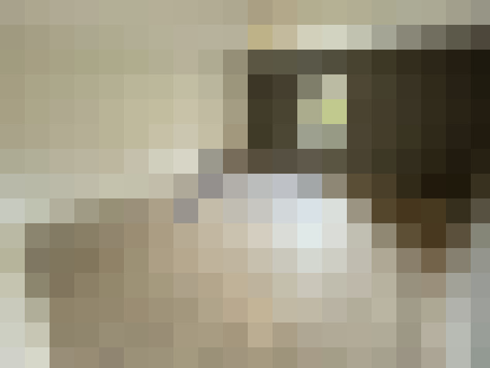 / #17