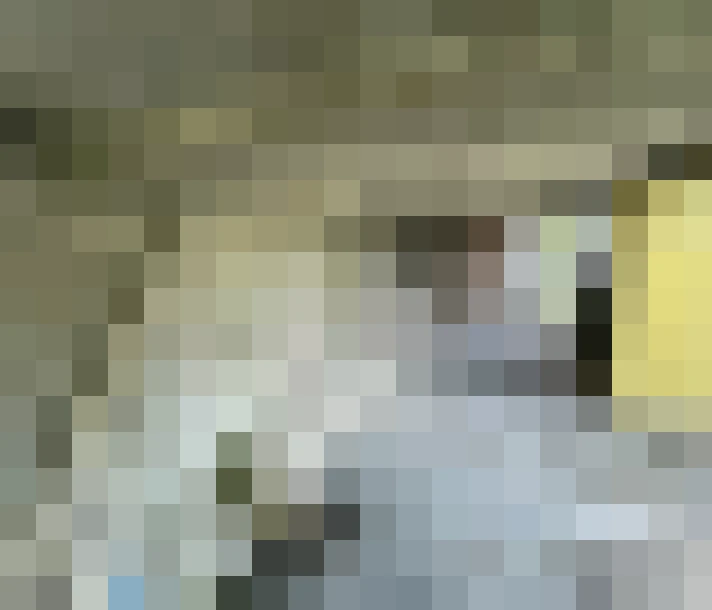  / #16