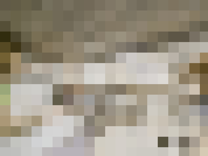  / #15
