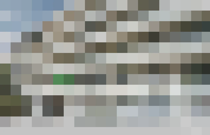  / #11
