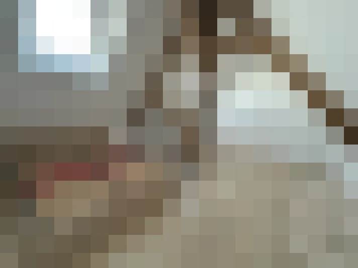  / #16
