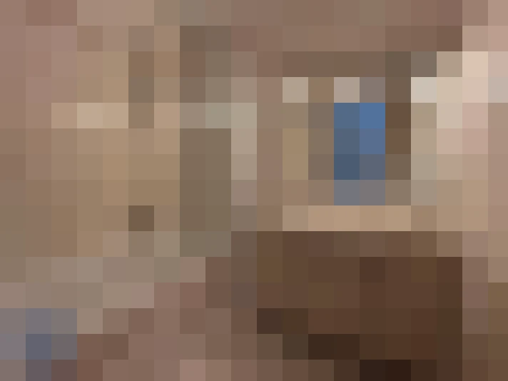  / #15