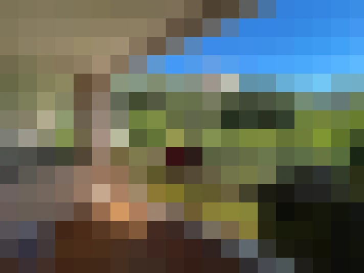  / #7
