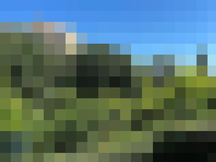  / #16