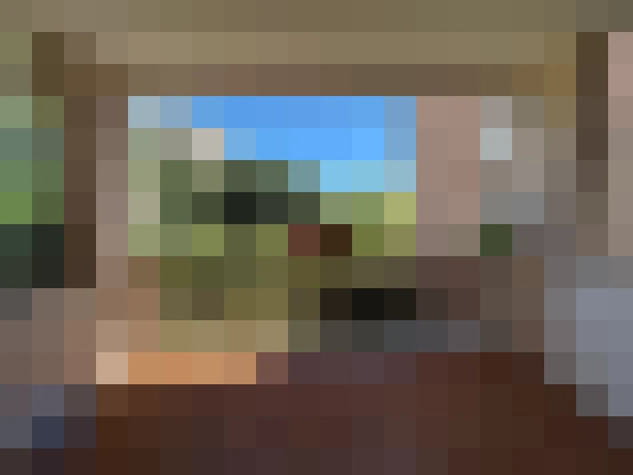  / #6
