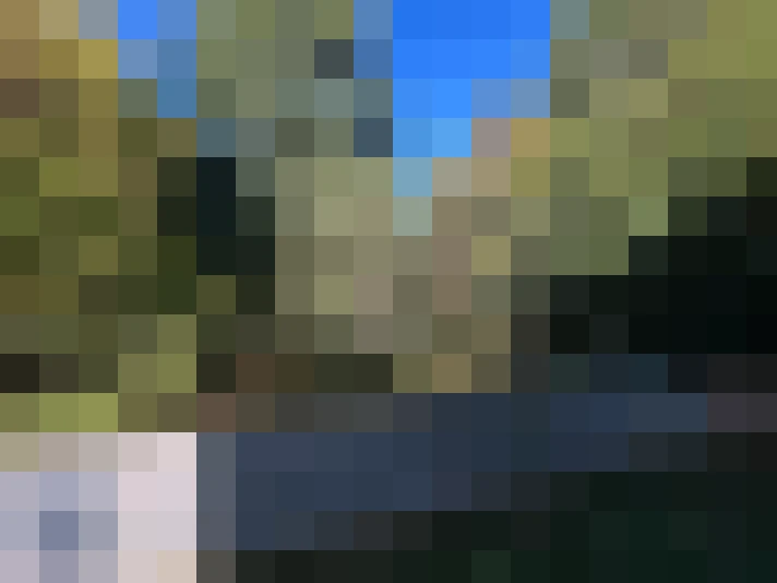  / #7