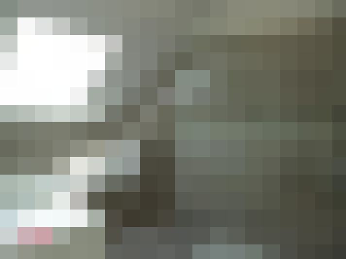 / #20