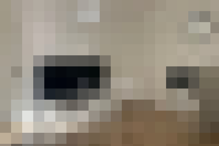  / #9