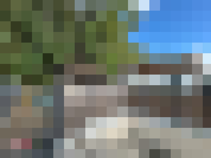  / #11