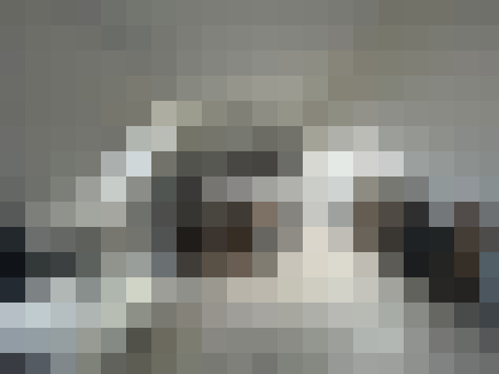  / #7