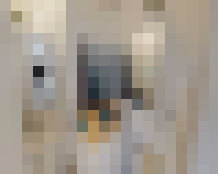  / #16