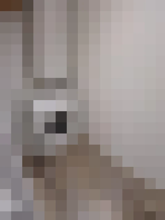  / #15