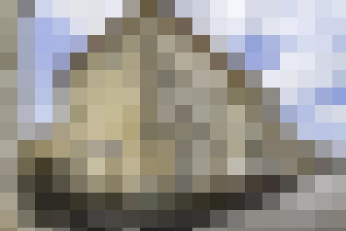  / #13
